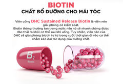Viên Uống DHC Biotin Ngăn Rụng Tóc, Hỗ Trợ Tăng Cường Thể Lực Sustained Release (30 Viên/30 Ngày) - Dạng Túi