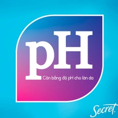 Sáp Khử Mùi Secret Hỗ Trợ Giảm Tiết Mồ Hôi Secret Antiperspirant Deodorant 73g