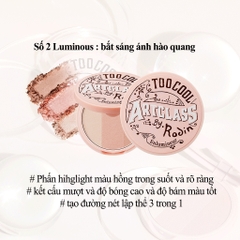 Phấn Bắt Sáng Ánh Nhũ 3 Màu Too Cool For School Art Class By Rodin Highlighter 11g