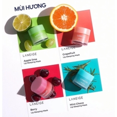 Mặt Nạ Ngủ Cho Môi LANEIGE Lip Sleeping Mask EX
