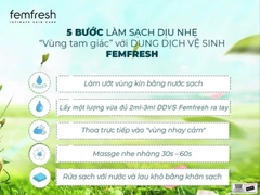 Dung Dịch Vệ Sinh Phụ Nữ Femfresh Cao Cấp Hằng Ngày Daily Intimate Wash (Cam)