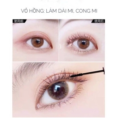 Chuốt Mi HOLD LIVE Làm Cong, Dài Và Dày Mi Long/Thick Curly Mascara 6g