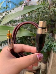 DÂY CANON CÁI – AV