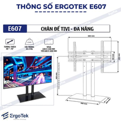Giá đỡ / Khung treo tivi đa năng E607 (40