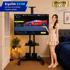 Khung treo tivi di động E2100  ( 32