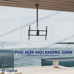 Khung treo Tivi thả trần ErgoTek E565 (55″ – 100″)