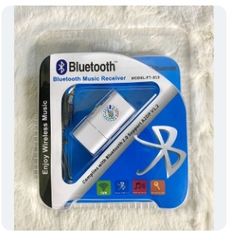 USB Bluetooth PT 810