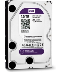 Ổ cứng HDD Western Tím - Hàng Công Ty | BH 24 tháng