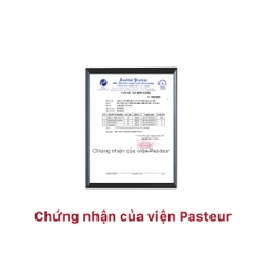 Combo 3 Bàn Chải Đánh Răng Lipzo Crystal Love For Girl Cho Nữ Giới  Công Nghệ Lông Nở Kết Hợp Chỉ Tơ Nha Khoa Siêu Mềm