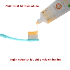 Combo 2 Bàn Chải Lipzo Wow Gold và Kem Đánh Răng Lipzo Dược Liệu Gum Protect 95g Phù Hợp Mang Đi Du Lịch, Nghỉ Dưỡng