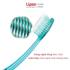Bàn Chải Đánh Răng Lipzo Áo Dài Pro Cao Cấp Lông Xoắn Kép