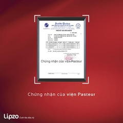 Combo 3 Bàn Chải Đánh Răng Lipzo Wow Gold Dành Cho Người Lớn Công Nghệ Chỉ Tơ Vàng Hai Lớp Nano Kháng Khuẩn Khử Mùi