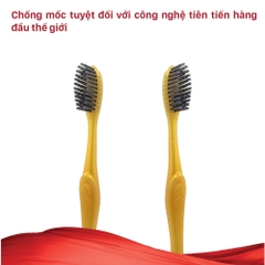 Combo 3 Bàn Chải Đánh Răng Lipzo Maxcare X Công Nghệ Lông Chỉ Tơ Nha Khoa Mảnh Kháng Khuẩn Siêu Bền