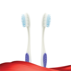 Combo 3 Bàn Chải Đánh Răng Lipzo Flex Khay Dành Cho Người Lớn Công Nghệ Lông Chỉ Tơ Nha Khoa Siêu Mềm Mảnh