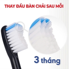 Vỉ 2 Đầu Bàn Chải Điện Lông Tynex LT1 Thay Thế Sau 3 Tháng Tương Thích Với Bàn Chải Điện Thông Minh Lipzo Sóng Âm Sonic