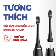 Vỉ 2 Đầu Bàn Chải Điện Lông Tynex LT1 Thay Thế Sau 3 Tháng Tương Thích Với Bàn Chải Điện Thông Minh Lipzo Sóng Âm Sonic