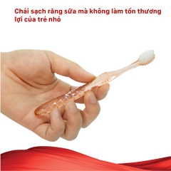 Combo Bàn Chải Cho Gia Đình: Crystal Man, Crystal Girl, Crystal Kid Phù Hợp Mang Đi Du Lịch, Nghỉ Dưỡng