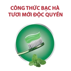 Bộ 2 Kem Đánh Răng Lipzo 12 Giờ Rạng Ngời 185g – Thơm Mát, Giảm Hôi Miệng Hiệu Quả, Ngừa Sâu Răng