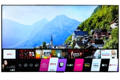 Smart Tivi OLED LG 4K 55 inch 55GXPTA (55