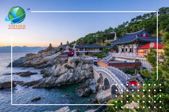 Du lịch Hàn Quốc mùa hè có gì đặc sắc mà làm người người yêu thích đến thế?