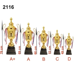 Cúp thể thao mẫu 14