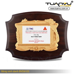 Bảng vinh danh BVD6103