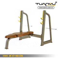 Ghế đẩy ngực bằng TV5043