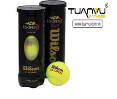 Bóng tennis winson đen extra duty hộp 4 quả