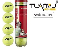 Bóng tennis winson đỏ championship hộp 4 quả