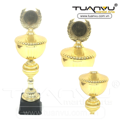 Cúp thể thao 1