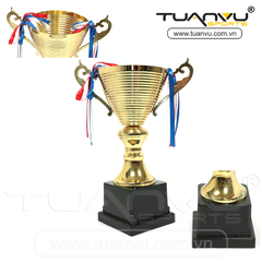 Cúp thể thao 5