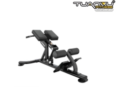 Ghế tập lưng bụng FA9972A