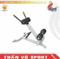 Ghế tập lưng Tuấn Vũ TV6007
