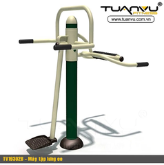 Máy tập lưng eo TV19302B
