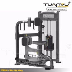 Máy xoay eo Impulse IT9318