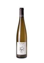 Alsace RIESLING Bio Organic - Domaine Pierre Henri GINGLINGER