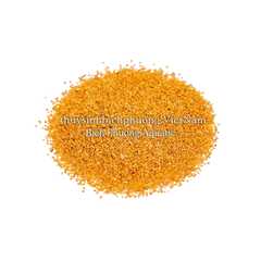 CÁT VÀNG – YELLOW SAND