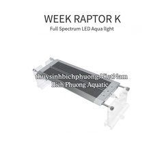 ĐÈN LED WEEK RAPTOR WRGB