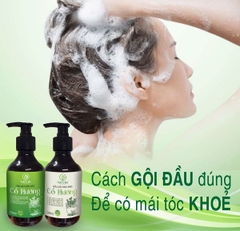 Gội Xả Cổ Hương Giúp Mọc Tóc