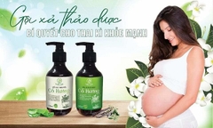Gội Xả Cổ Hương Giúp Mọc Tóc