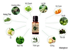 Tinh dầu Giải Cảm Flu Stop Oil Hằng Phan