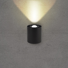 Đèn Led Gắn Tường 1 Đầu Ngoài Trời 10W KINGLED LWA121
