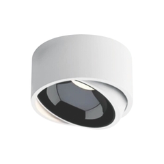 Đèn Lon Ống Bơ Gắn Nổi 10W Chỉnh Góc ANFACO AFC 679 LED 10W