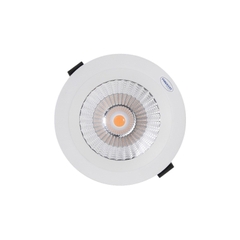 Đèn LED Downlight Chống Thấm 40W Paragon PRDAB220L40