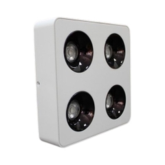 Đèn LED Lon Nổi Vuông 4 Mắt 7W*4-10W*4 mẫu LOD