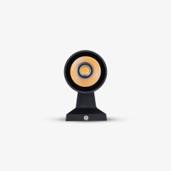 Đèn LED Tường Ngoài Trời 10W Rạng Đông