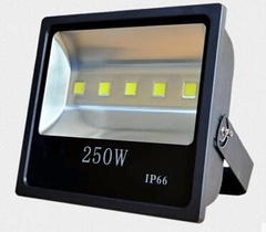Đèn Pha Led 250W OEM Philips Chip COB