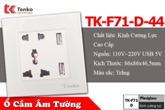 Ổ Cắm USB Âm Tường Mặt Kính Cường Lực Tenko TK-F71-D-44
