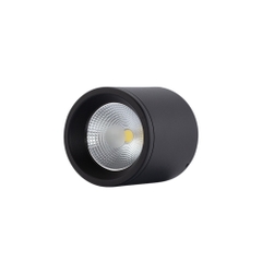 Đèn LED Downlight Nổi Trần 15W Rạng Đông - NT01 110/15W