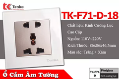 Ổ Cắm Điện Âm Tường Mặt Kính Cường Lực Cao Cấp TK-F71-D-18